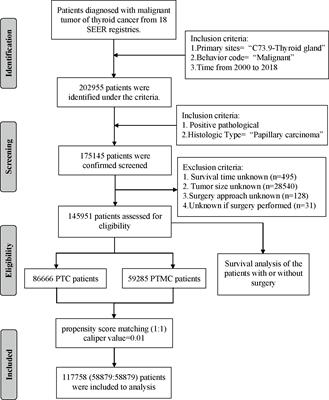 Comparison of clinicopathological features and prognosis of papillary thyroid carcinoma and microcarcinoma: A population-based propensity score matching analysis